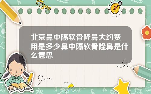 北京鼻中隔软骨隆鼻大约费用是多少鼻中隔软骨隆鼻是什么意思