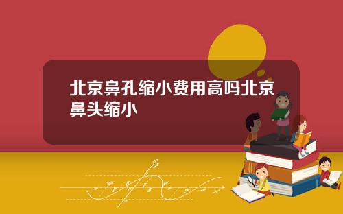 北京鼻孔缩小费用高吗北京鼻头缩小