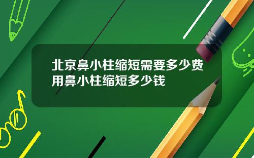 北京鼻小柱缩短需要多少费用鼻小柱缩短多少钱