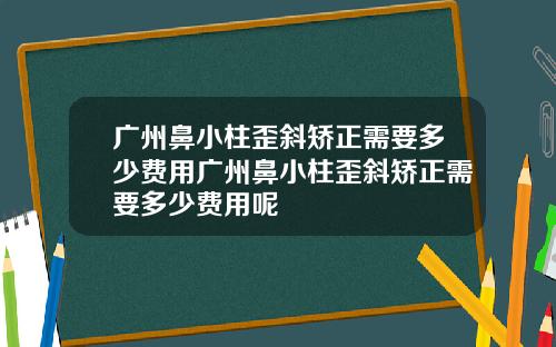 广州鼻小柱歪斜矫正需要多少费用广州鼻小柱歪斜矫正需要多少费用呢