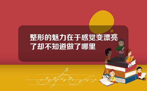 整形的魅力在于感觉变漂亮了却不知道做了哪里