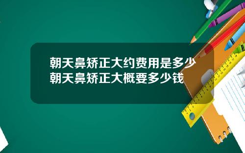 朝天鼻矫正大约费用是多少朝天鼻矫正大概要多少钱