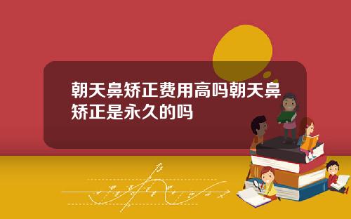 朝天鼻矫正费用高吗朝天鼻矫正是永久的吗