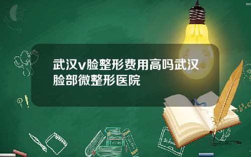 武汉v脸整形费用高吗武汉脸部微整形医院
