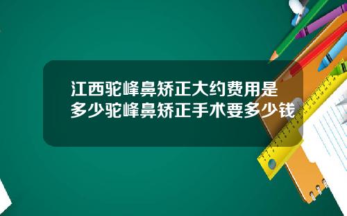 江西驼峰鼻矫正大约费用是多少驼峰鼻矫正手术要多少钱