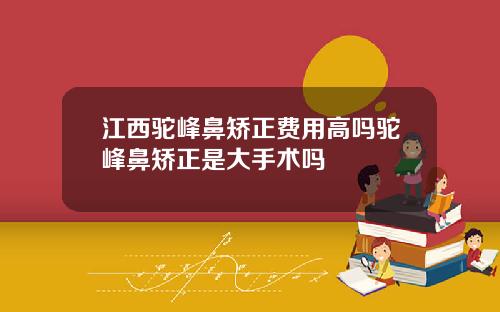 江西驼峰鼻矫正费用高吗驼峰鼻矫正是大手术吗