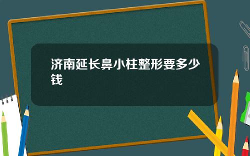 济南延长鼻小柱整形要多少钱