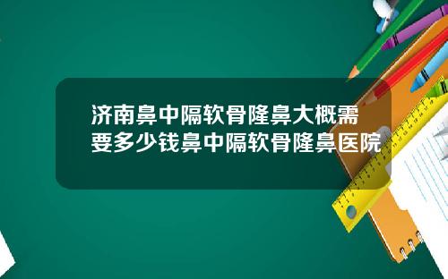 济南鼻中隔软骨隆鼻大概需要多少钱鼻中隔软骨隆鼻医院