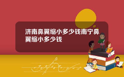 济南鼻翼缩小多少钱南宁鼻翼缩小多少钱