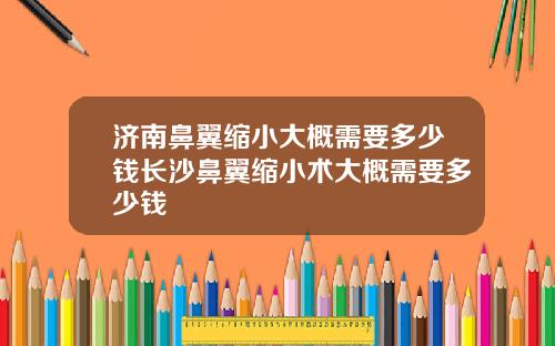 济南鼻翼缩小大概需要多少钱长沙鼻翼缩小术大概需要多少钱