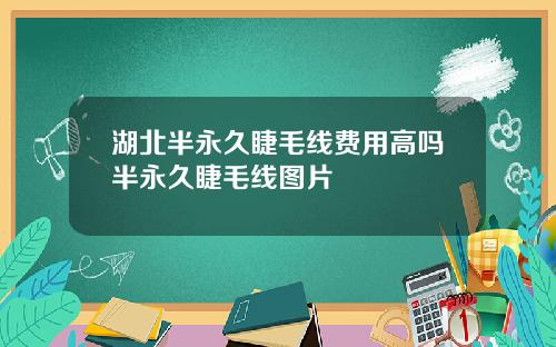 湖北半永久睫毛线费用高吗半永久睫毛线图片