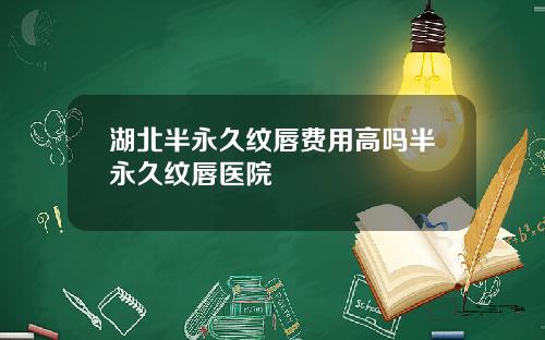 湖北半永久纹唇费用高吗半永久纹唇医院