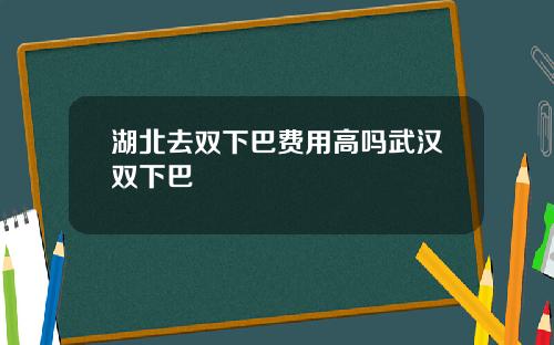 湖北去双下巴费用高吗武汉双下巴