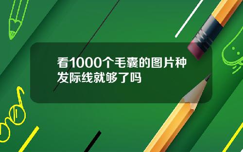 看1000个毛囊的图片种发际线就够了吗
