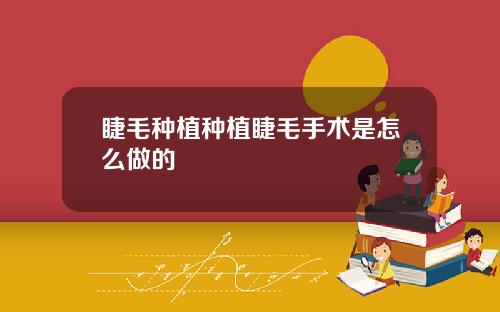 睫毛种植种植睫毛手术是怎么做的