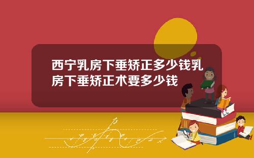 西宁乳房下垂矫正多少钱乳房下垂矫正术要多少钱