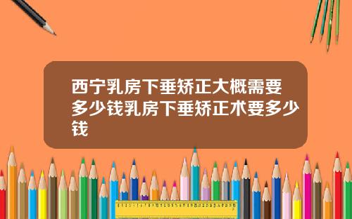 西宁乳房下垂矫正大概需要多少钱乳房下垂矫正术要多少钱