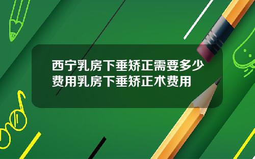 西宁乳房下垂矫正需要多少费用乳房下垂矫正术费用
