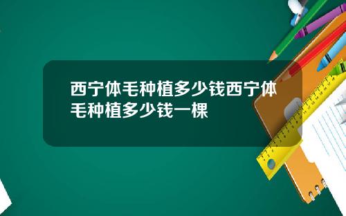 西宁体毛种植多少钱西宁体毛种植多少钱一棵