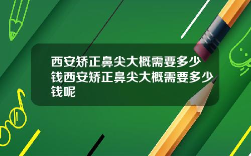 西安矫正鼻尖大概需要多少钱西安矫正鼻尖大概需要多少钱呢
