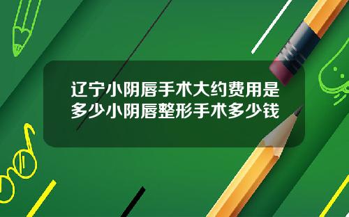 辽宁小阴唇手术大约费用是多少小阴唇整形手术多少钱