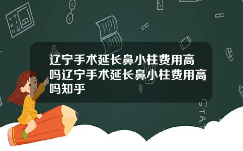 辽宁手术延长鼻小柱费用高吗辽宁手术延长鼻小柱费用高吗知乎