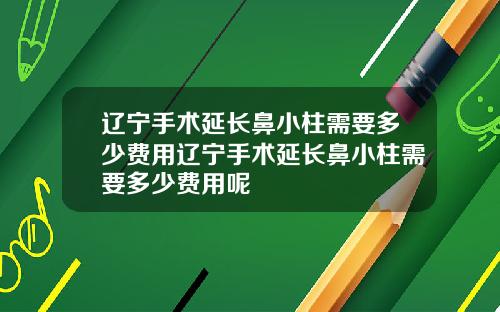 辽宁手术延长鼻小柱需要多少费用辽宁手术延长鼻小柱需要多少费用呢