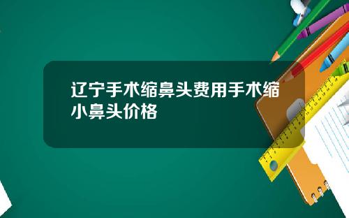 辽宁手术缩鼻头费用手术缩小鼻头价格