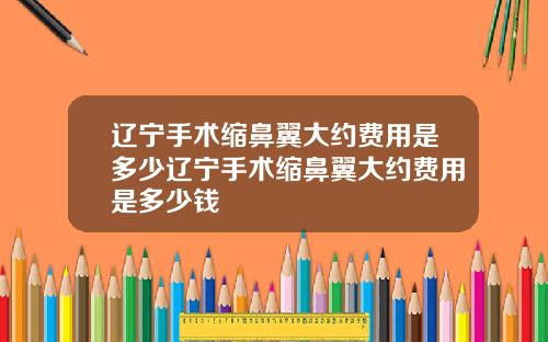 辽宁手术缩鼻翼大约费用是多少辽宁手术缩鼻翼大约费用是多少钱