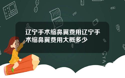 辽宁手术缩鼻翼费用辽宁手术缩鼻翼费用大概多少