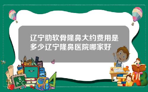 辽宁肋软骨隆鼻大约费用是多少辽宁隆鼻医院哪家好
