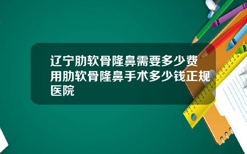 辽宁肋软骨隆鼻需要多少费用肋软骨隆鼻手术多少钱正规医院