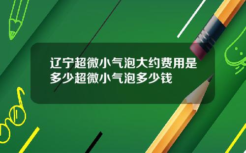 辽宁超微小气泡大约费用是多少超微小气泡多少钱