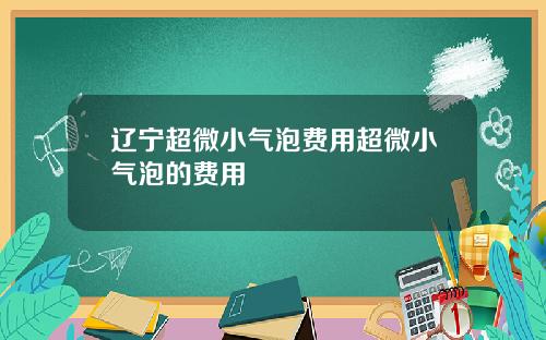 辽宁超微小气泡费用超微小气泡的费用