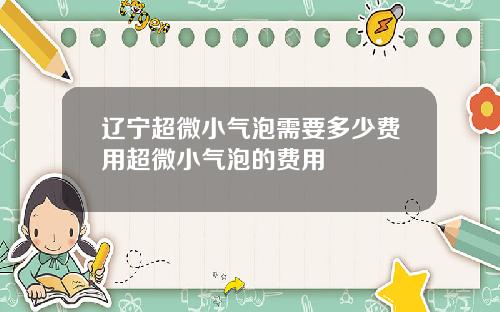 辽宁超微小气泡需要多少费用超微小气泡的费用