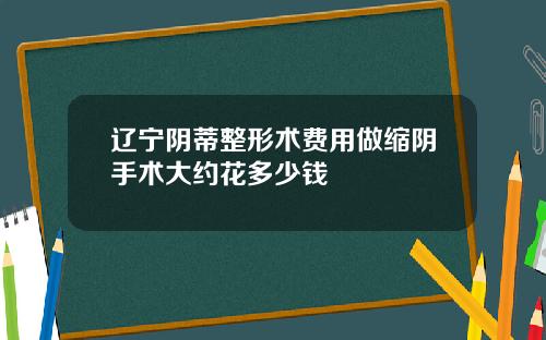 辽宁阴蒂整形术费用做缩阴手术大约花多少钱