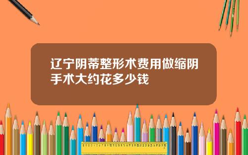 辽宁阴蒂整形术费用做缩阴手术大约花多少钱