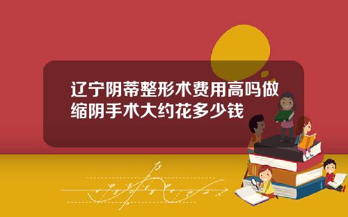 辽宁阴蒂整形术费用高吗做缩阴手术大约花多少钱