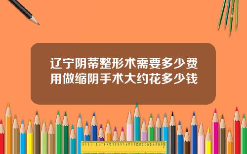 辽宁阴蒂整形术需要多少费用做缩阴手术大约花多少钱