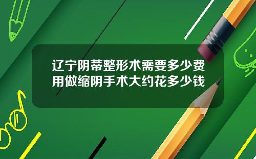 辽宁阴蒂整形术需要多少费用做缩阴手术大约花多少钱